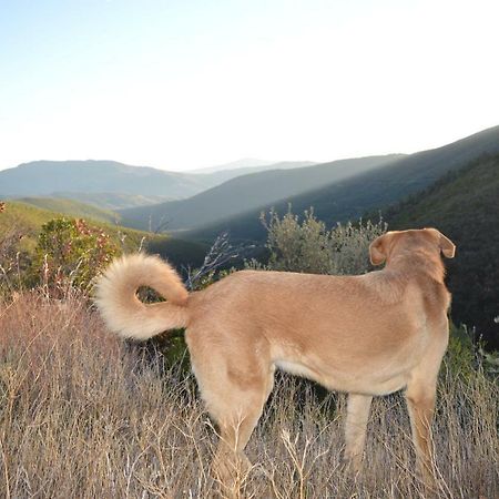 Caminomorisco Las Estrebedes Casa Rural旅馆 外观 照片